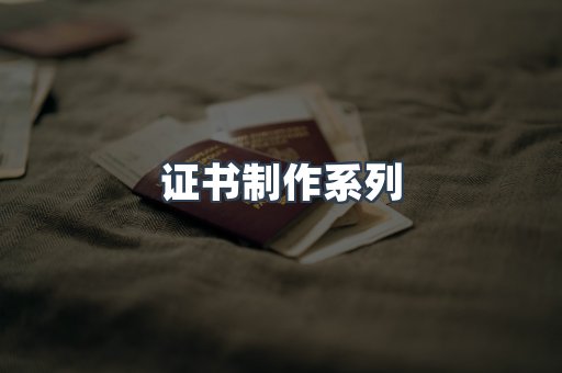 仿制证件24小时